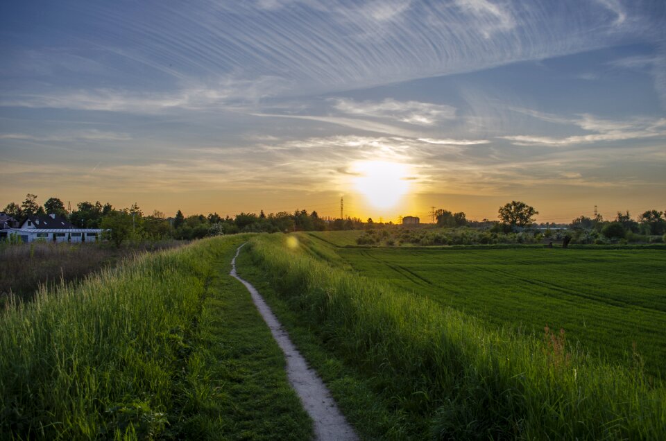 Poland nature evening