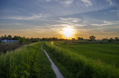 Poland nature evening