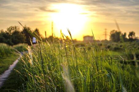 Nature the sun clouds photo