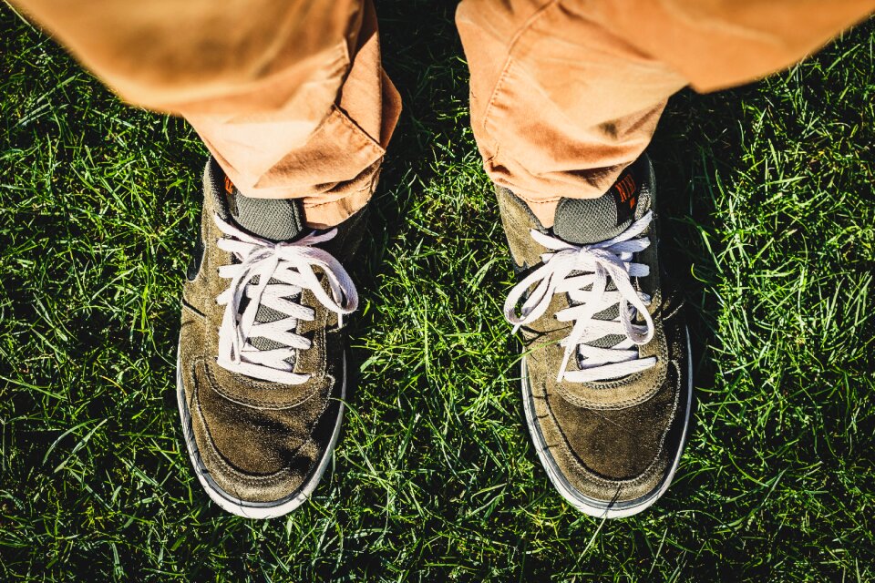 Green grass sunshine