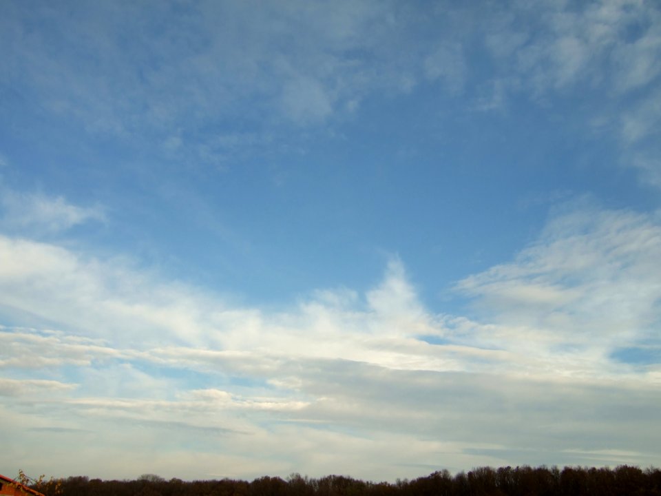 nori-fabr2008_1120_203036