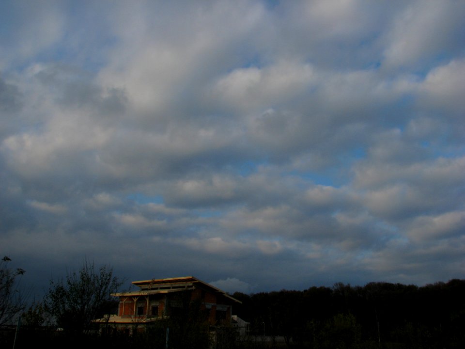 nori-fab2008_1118_150229