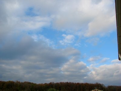 nori-fab2008_1118_144933