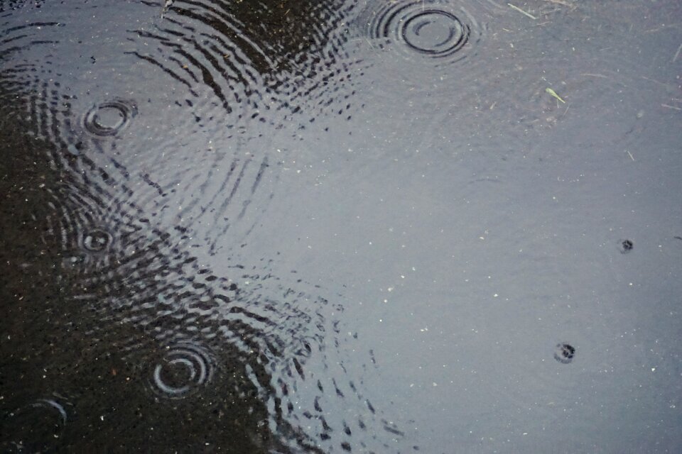 Puddle out rain drops waves