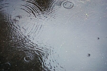 Puddle out rain drops waves