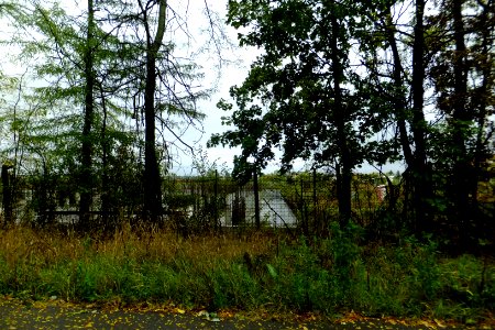 ven-ploaie-Jandarmer2013_1001_094522(1)