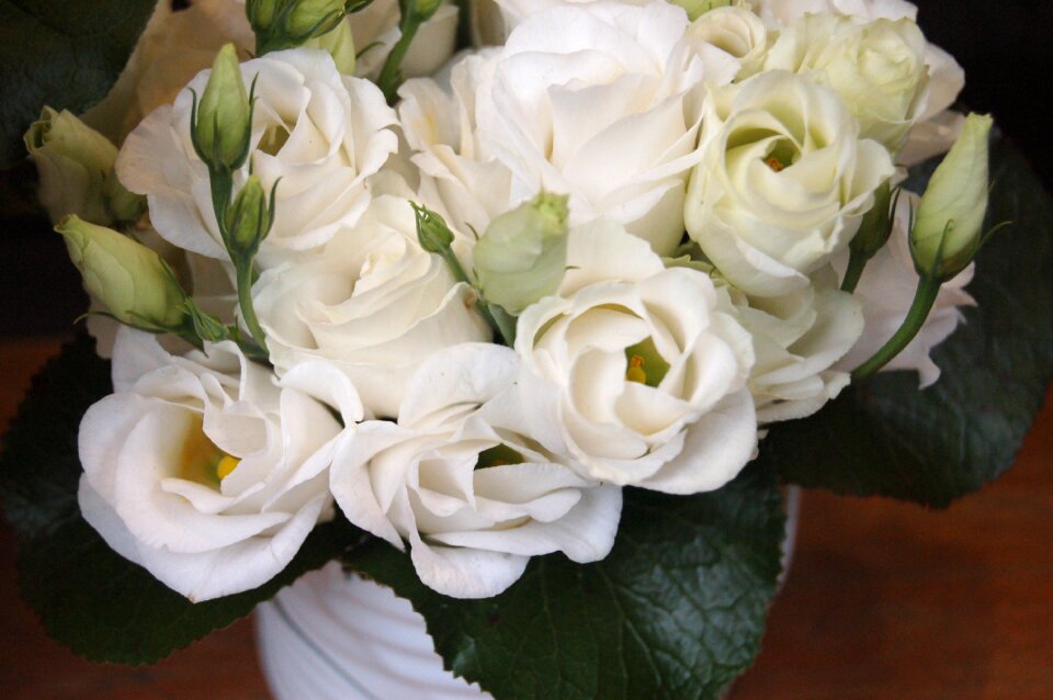 Bouquet de fleurs bloom romantic