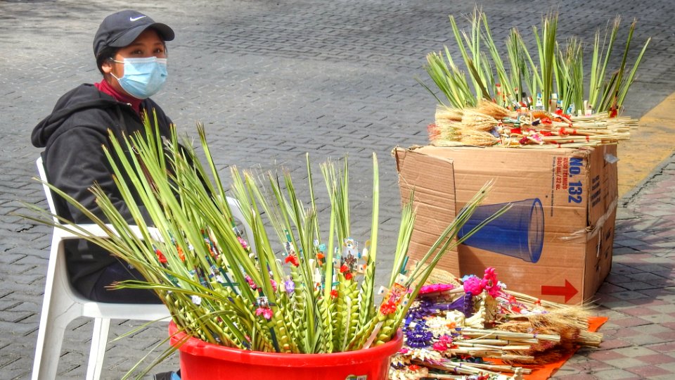 Palm Seller
