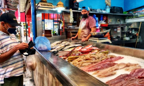 Jay Buying Fish in Mazatlan Cento Market