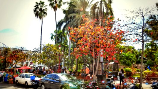 February in Mazatlan