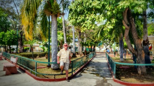 Angel Flores Park
