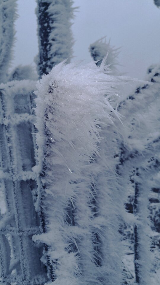 Aesthetic cold winter impressions