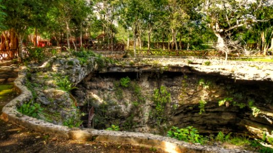 Cenote at Ground Level