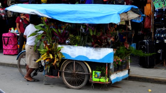 Tulum Archeological Site, Beach, and City photo