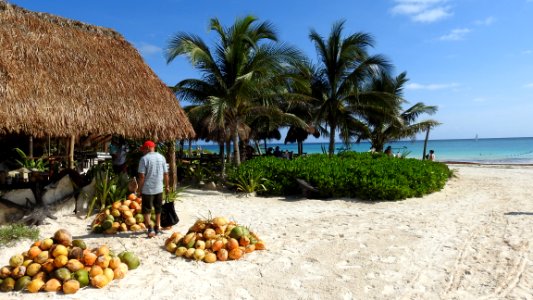 Tulum Archeological Site, Beach, and City