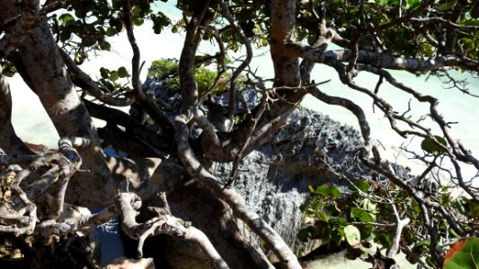 Tulum Archeological Site, Beach, and City