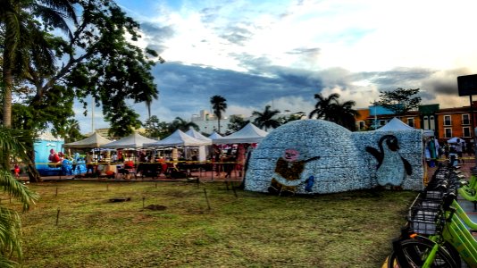A Mexican Igloo and Christmas Market