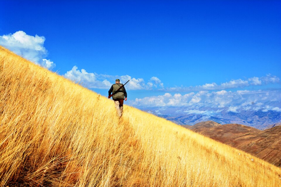Beautiful outdoor landscape