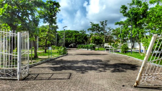 Welcome to the Park