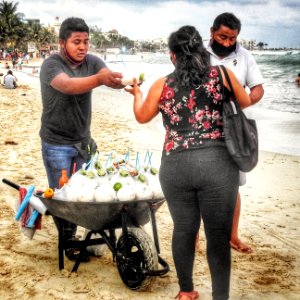 Coconut Seller