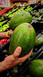 Choice: The Little Avacados or These?