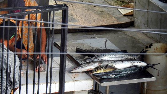 Fish Seller Across the Street