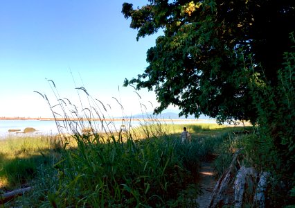 Wreck Beach Tuesday