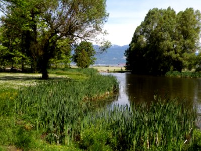 Jericho 03