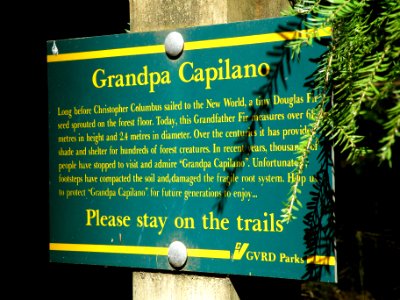 Capilano Regional Park 6