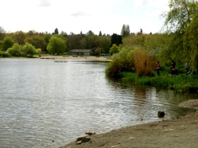 Trout Lake - No Dogs in Picture