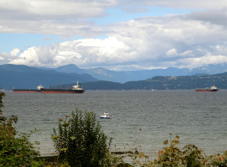 Along Kitts and Hadden Park