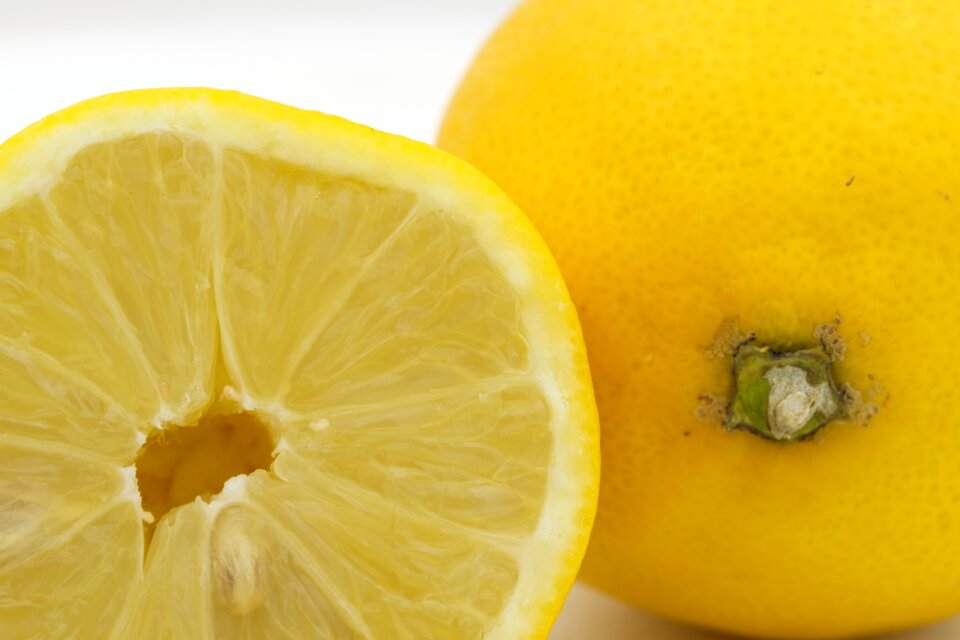 Vitamins vitamin c immune system
