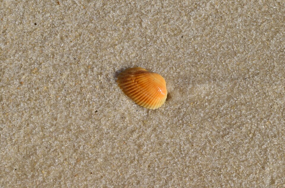 Beach travel gulf of mexico