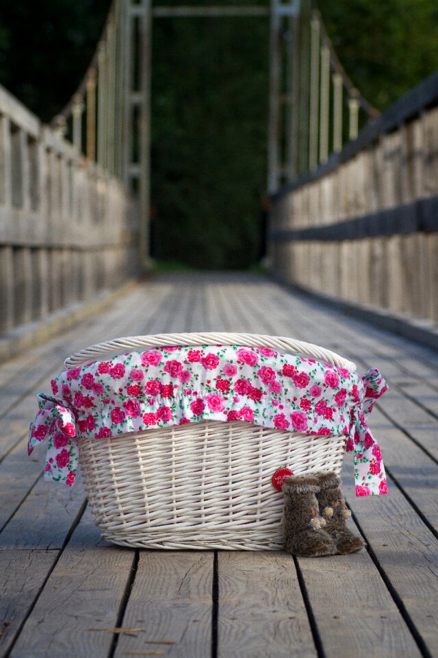 Color summer romantic