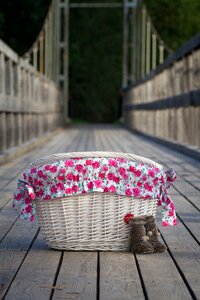 Color summer romantic
