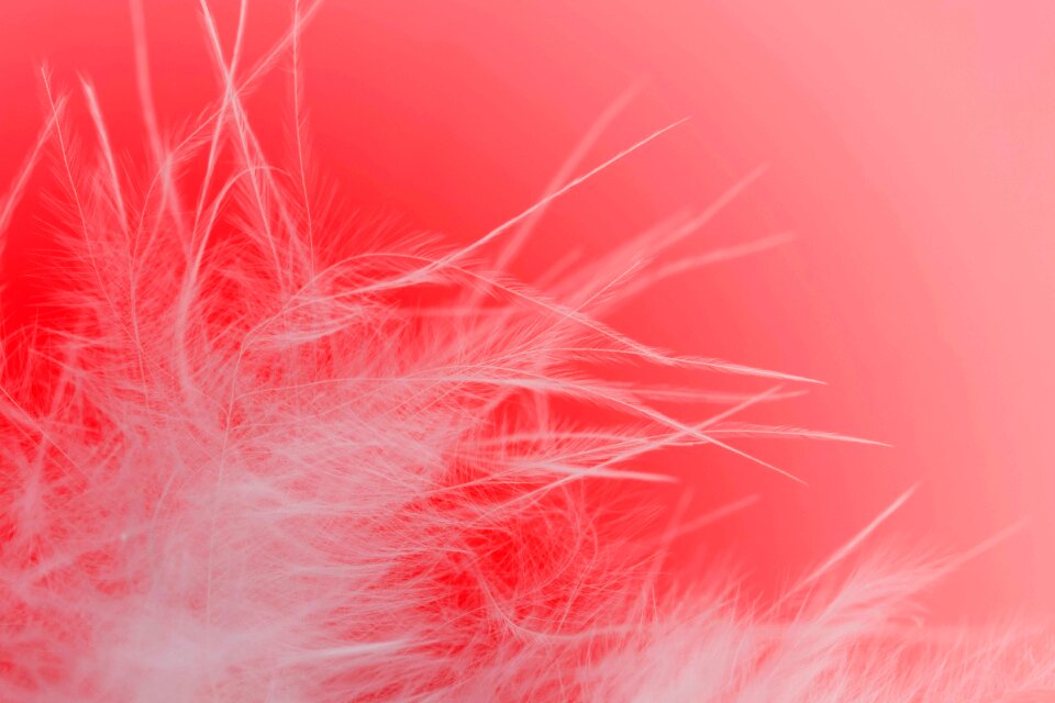 Slightly fluff fluffy