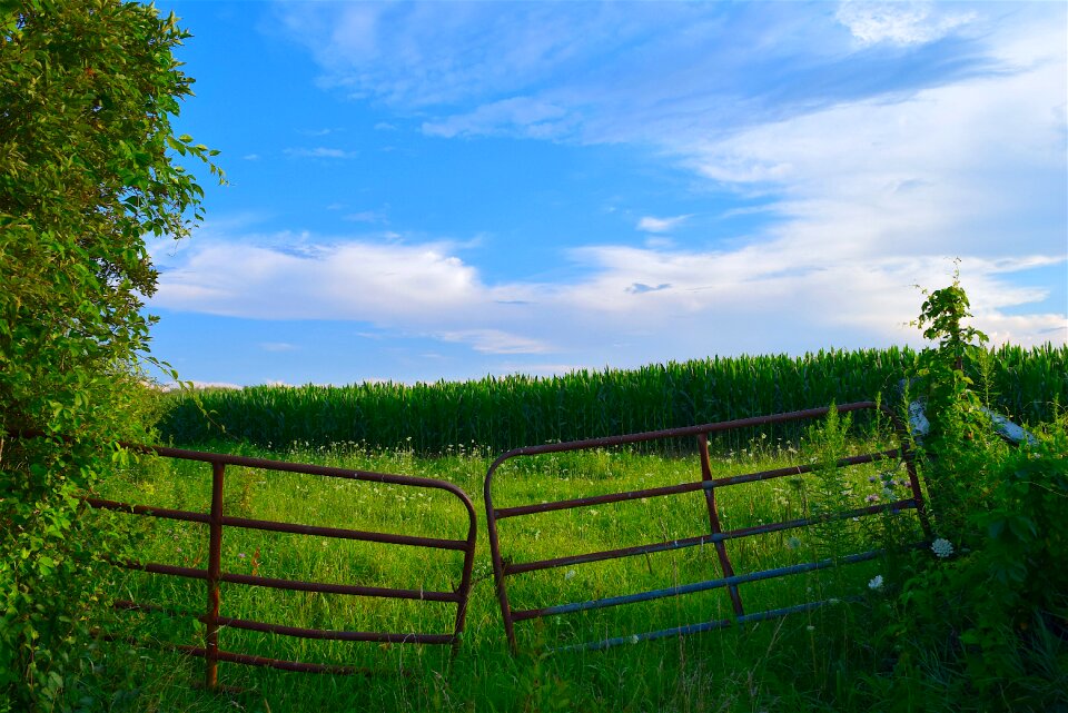 Sunset landscape nature