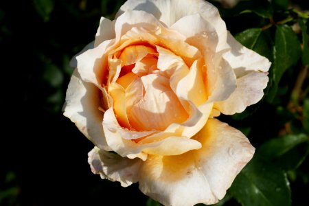 P2670237