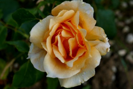 P2670169