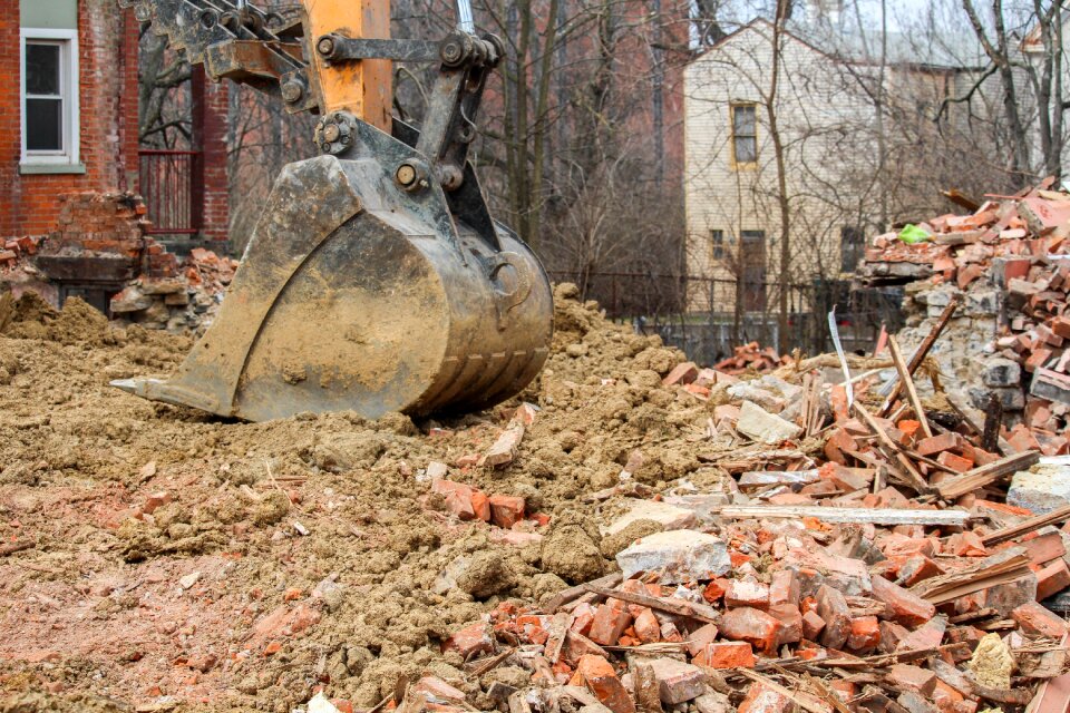 Wood tree demolition