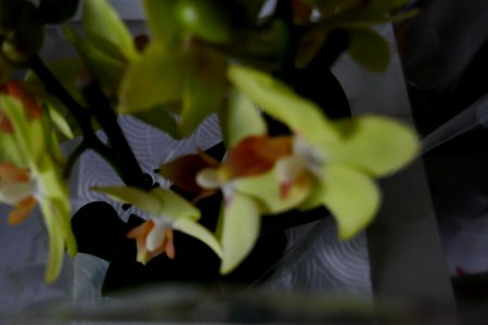 P2670134
