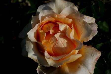 P2670233