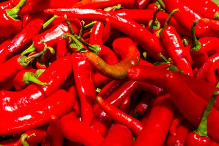 Hot pepper fresh photo