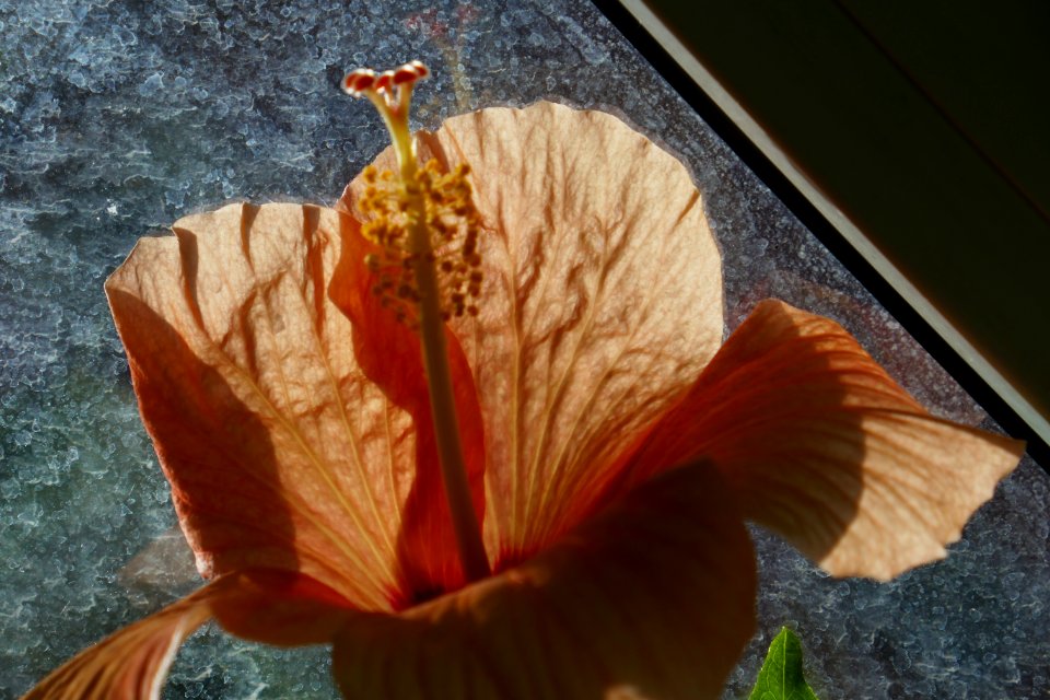P2660355