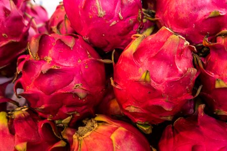 Tropical asian pink