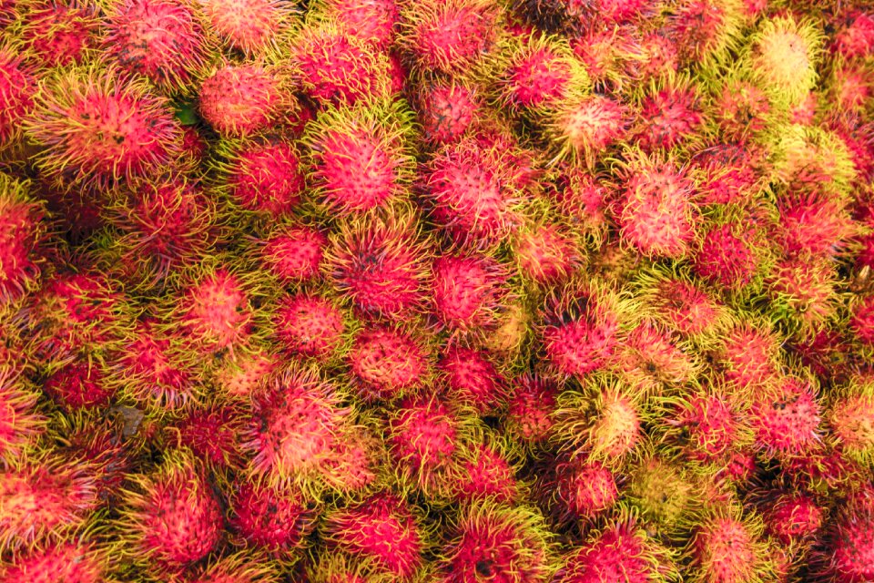 Tropical exotic natural