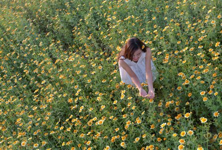 The daisies girl-on application ha noi vietnam photo