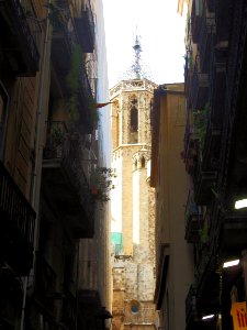 DSCN0130