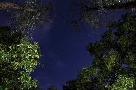 Night starlight shiny