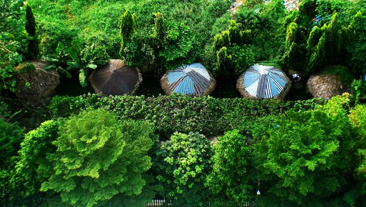 Green green tree structure